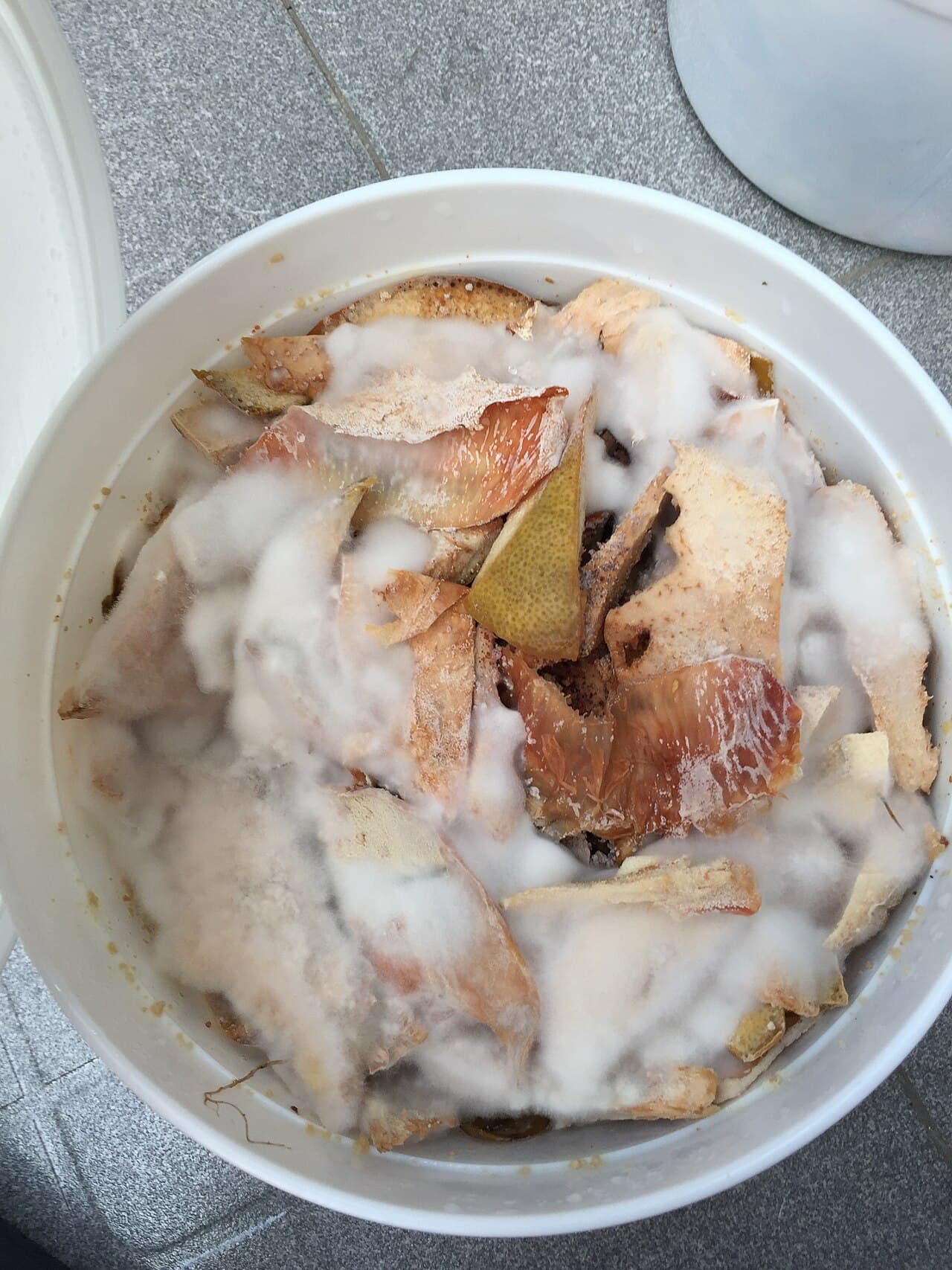 Bokashi — köksavfall inomhus