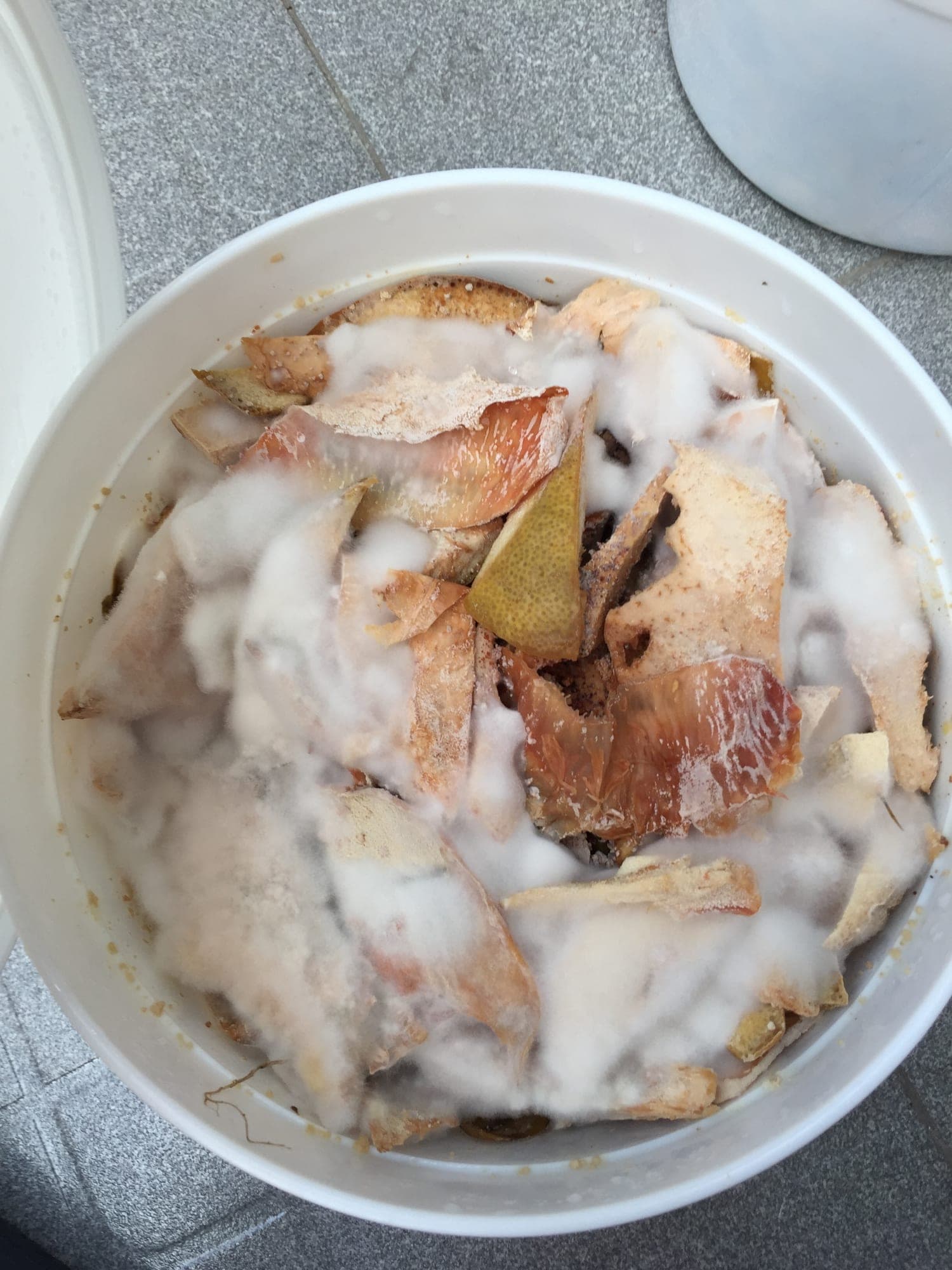 Bokashi — köksavfall inomhus