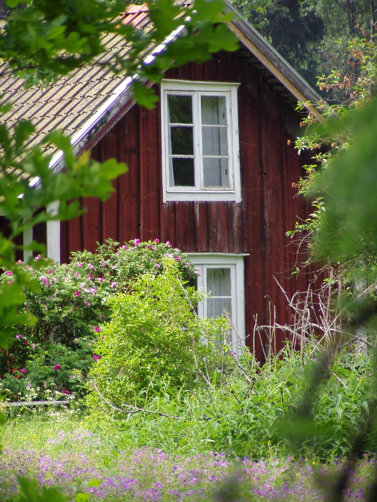Växtzoner i Sverige — så fungerar härdighetszonerna