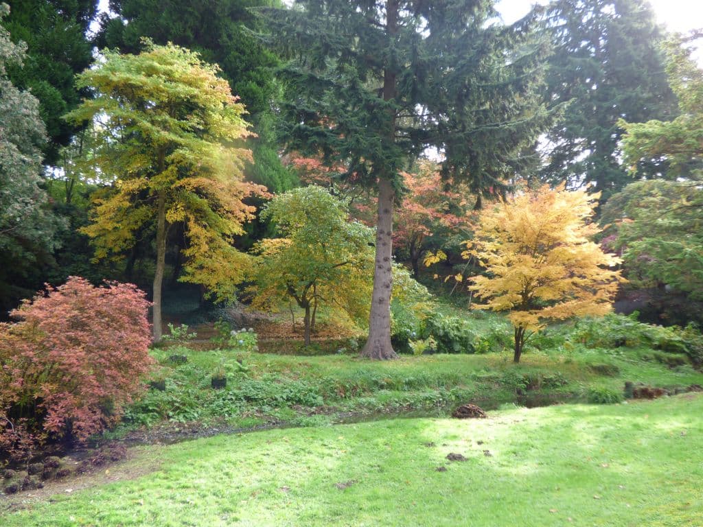 Trädgården i Oktober