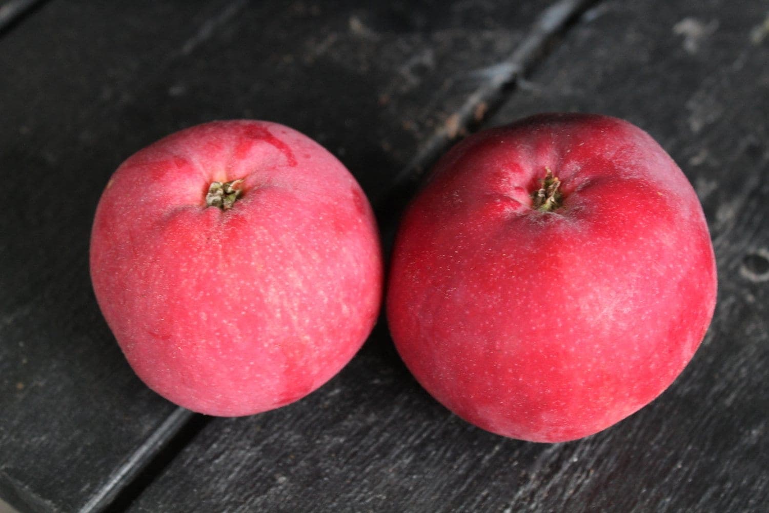 Prydnadsäpple